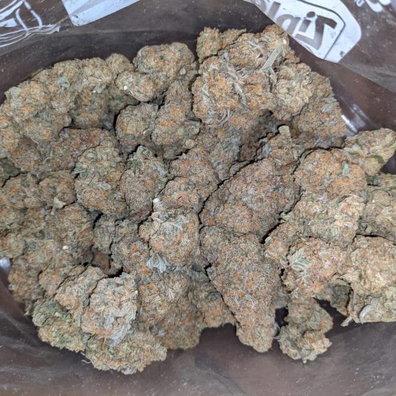 Buy Jack Herer Strain Online