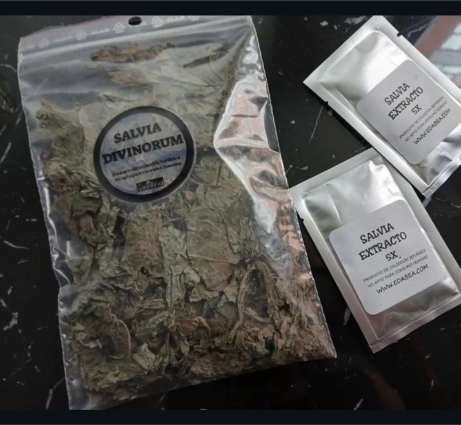 Buy Salvia divinorum leaves online